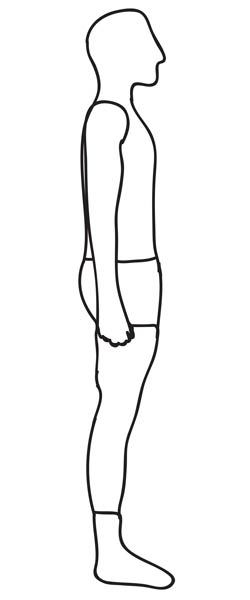Erect stance body shape